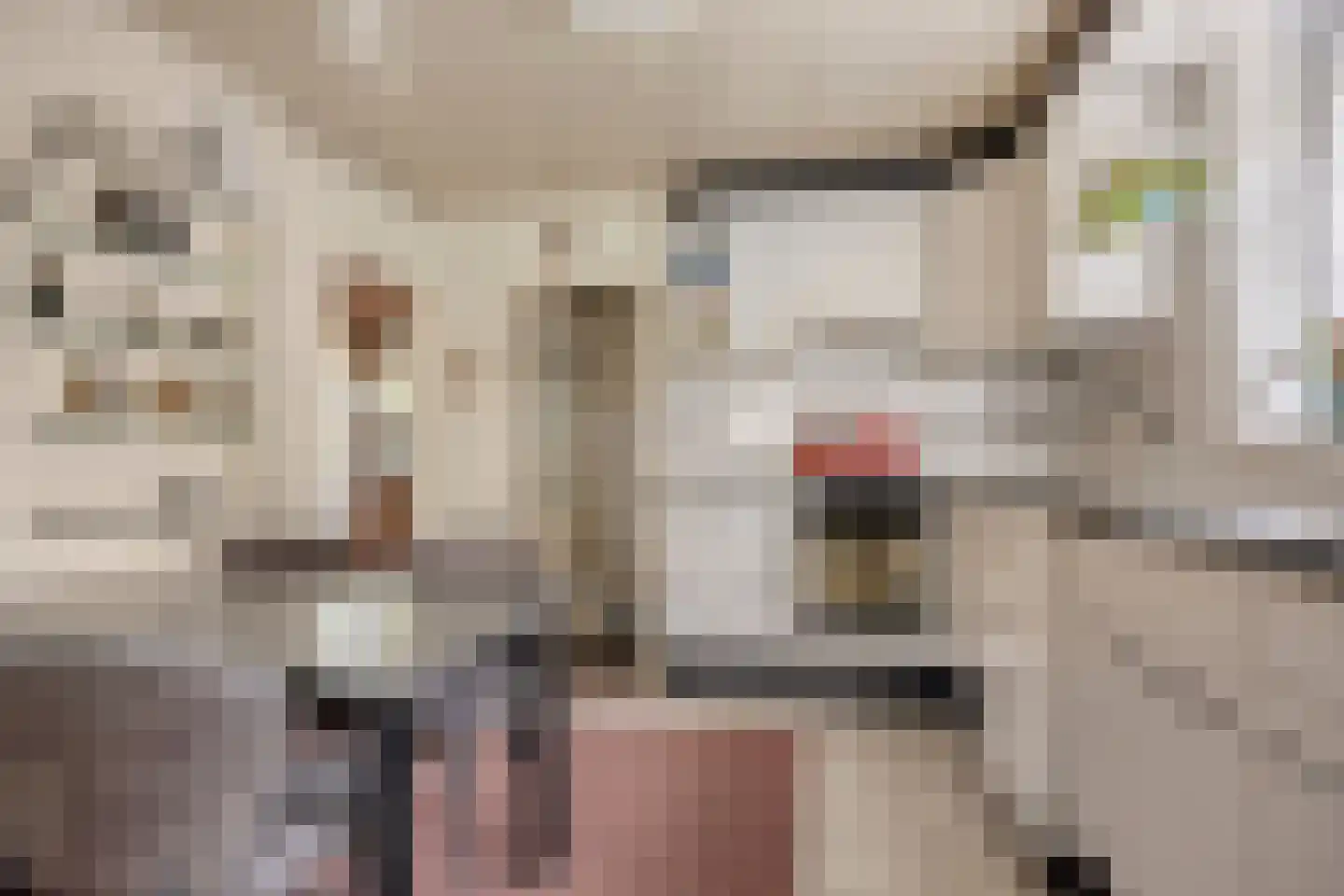 Kapelsingel 14 Oss thumbnail 12