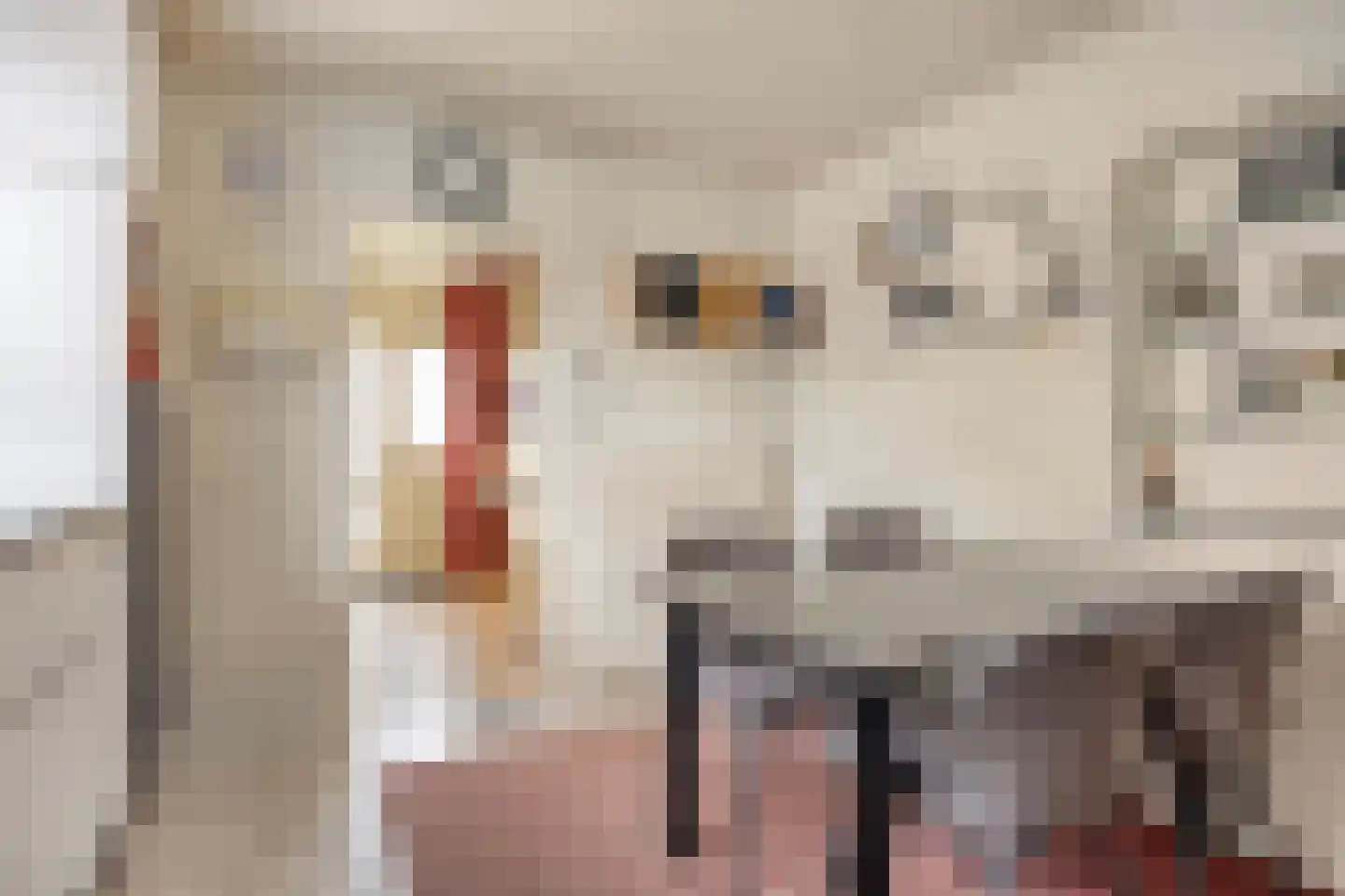 Kapelsingel 14 Oss thumbnail 13