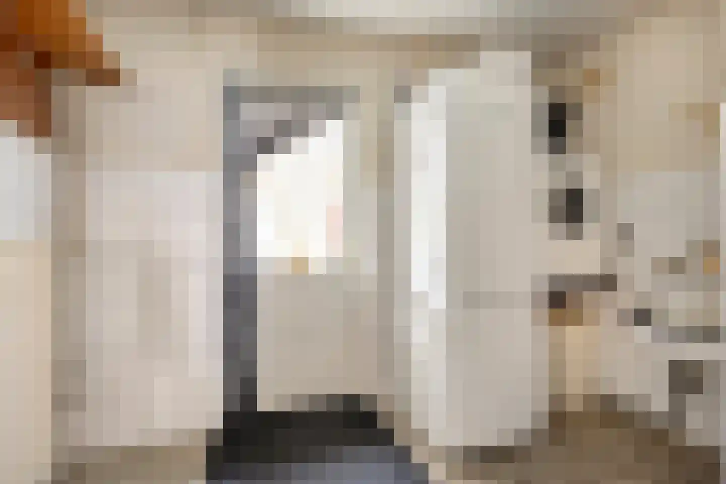Kapelsingel 14 Oss thumbnail 18