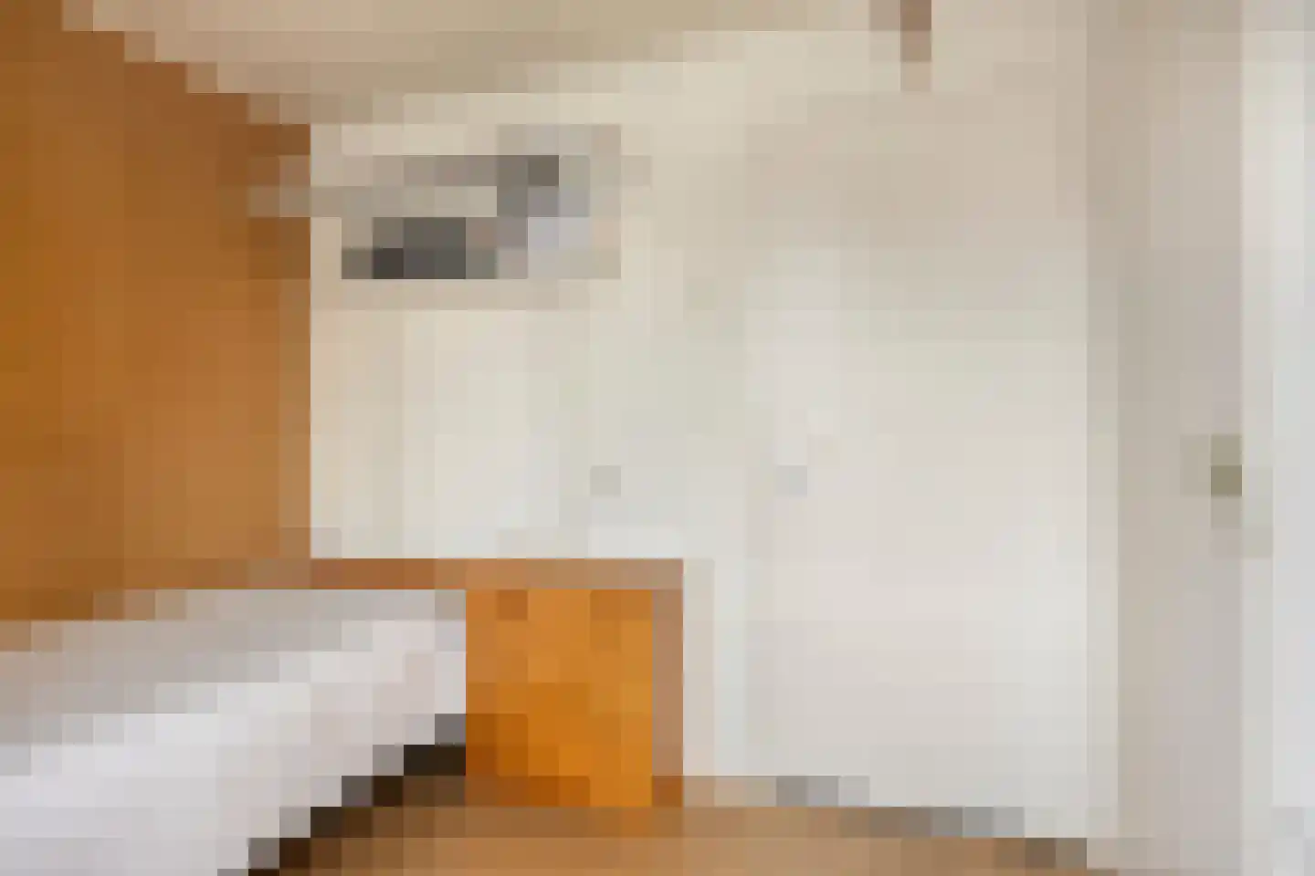 Kapelsingel 14 Oss thumbnail 29