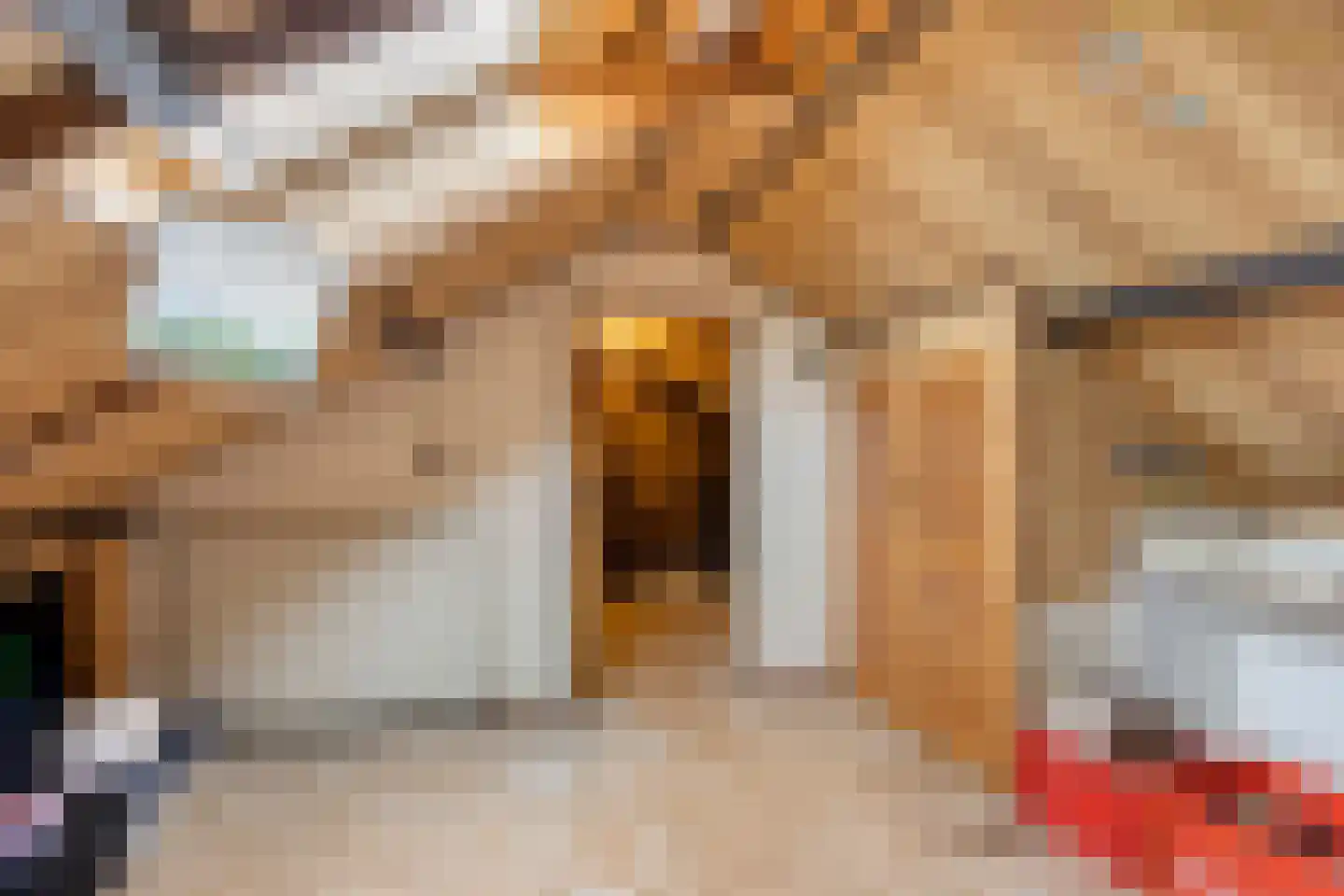 Kapelsingel 14 Oss thumbnail 32