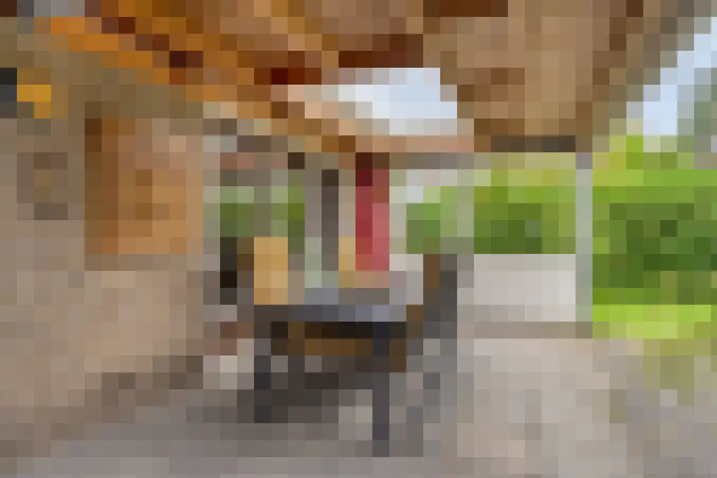 Kapelsingel 14 Oss thumbnail 34