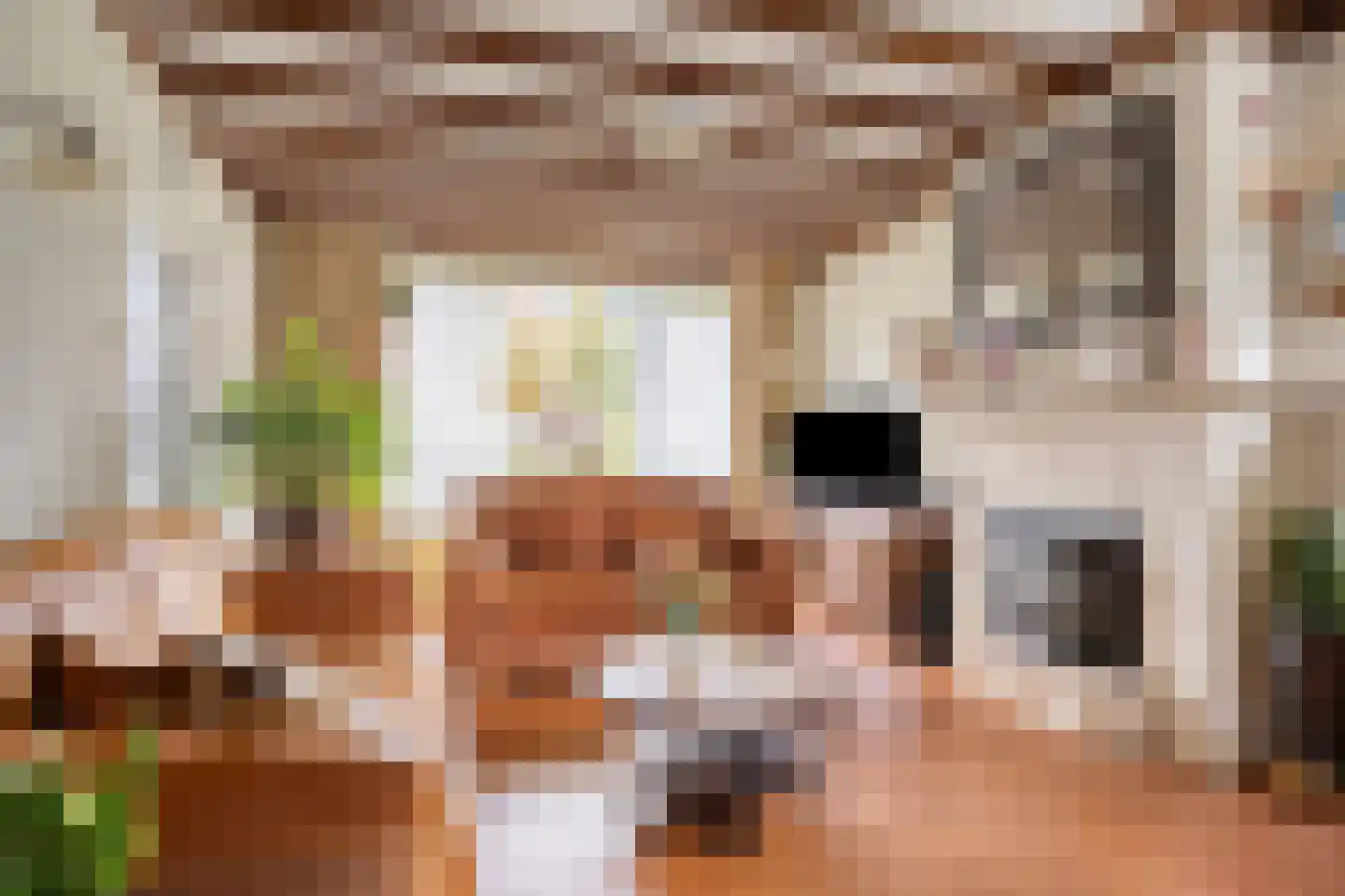 Kapelsingel 14 Oss thumbnail 5