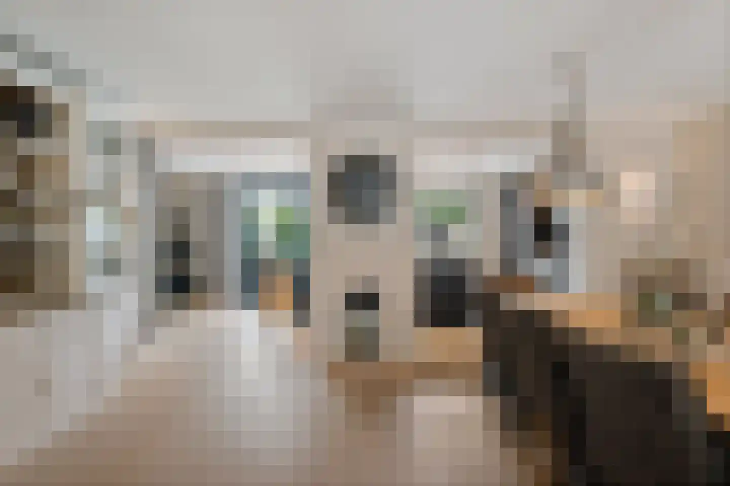 Kapelsingel 34 Oss thumbnail 14