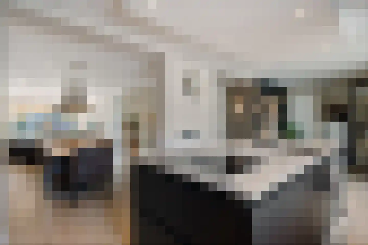 Kapelsingel 34 Oss thumbnail 18