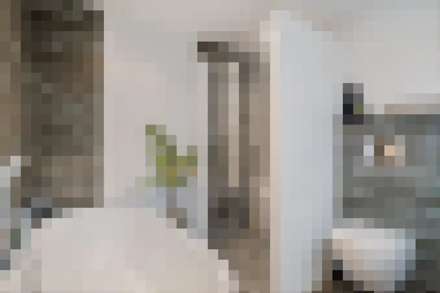 Kapelsingel 34 Oss thumbnail 30