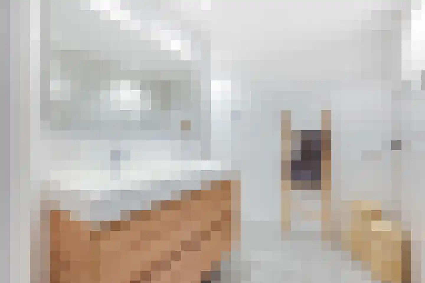 Kapelsteeg 1 A Alkmaar thumbnail 15