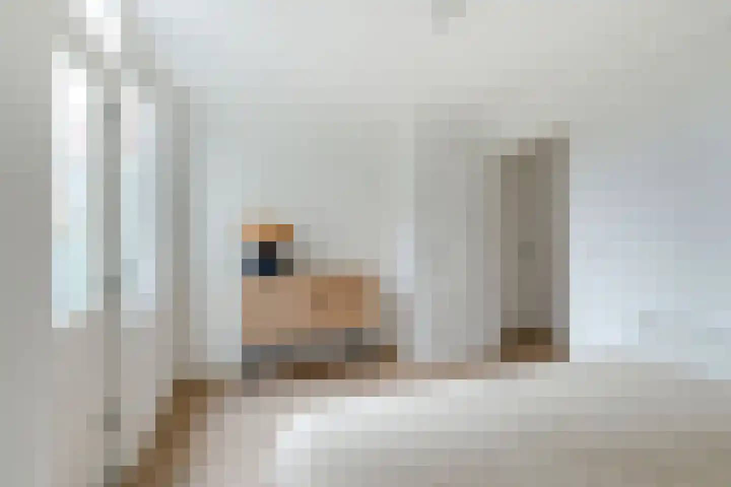 Kapelsteeg 1 A Alkmaar thumbnail 19