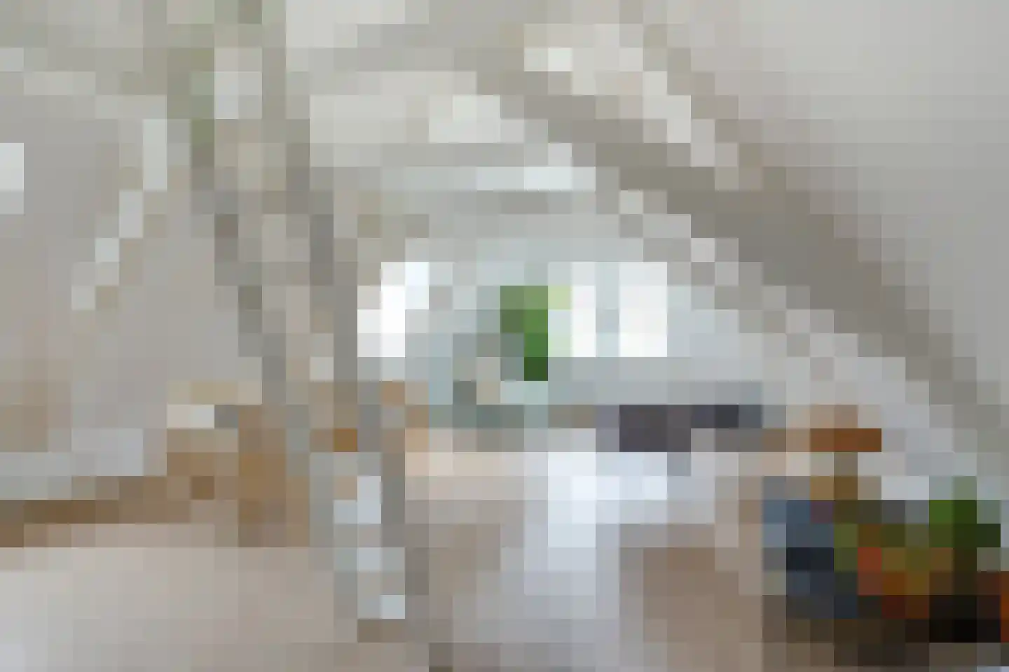 Kapelsteeg 1 B Alkmaar thumbnail 5