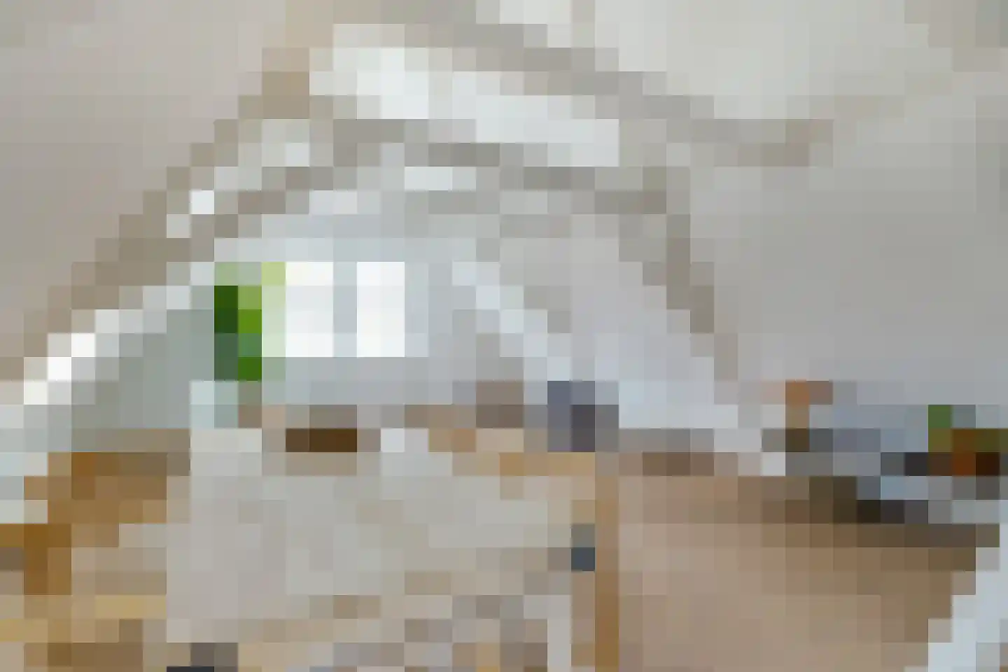 Kapelsteeg 1 B Alkmaar thumbnail 7