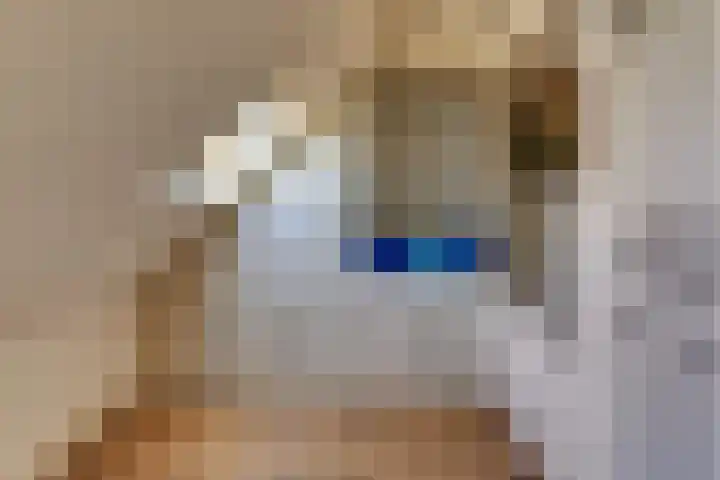 Kapelsteeg 13 Harderwijk thumbnail 37