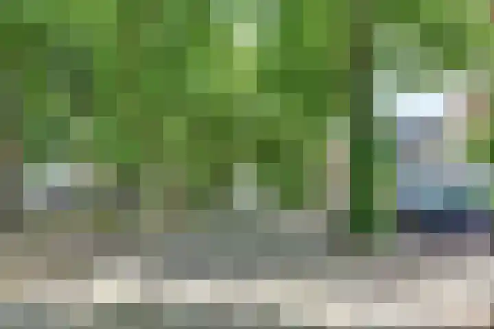 Kapelsteeg 13 Harderwijk thumbnail 55
