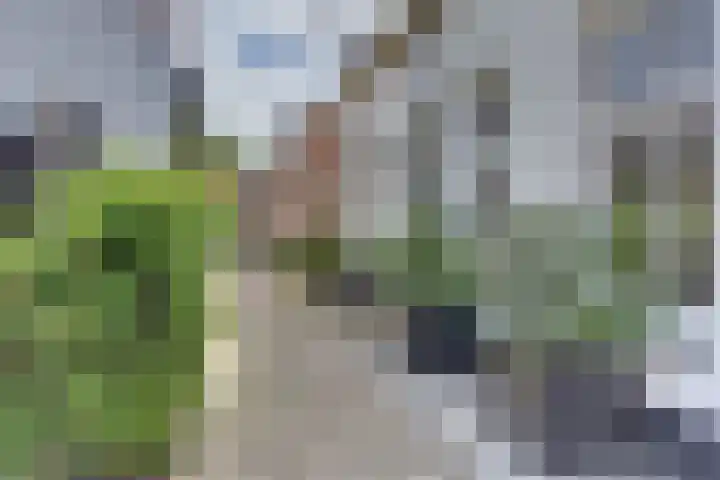 Kapelsteeg 13 Harderwijk thumbnail 6