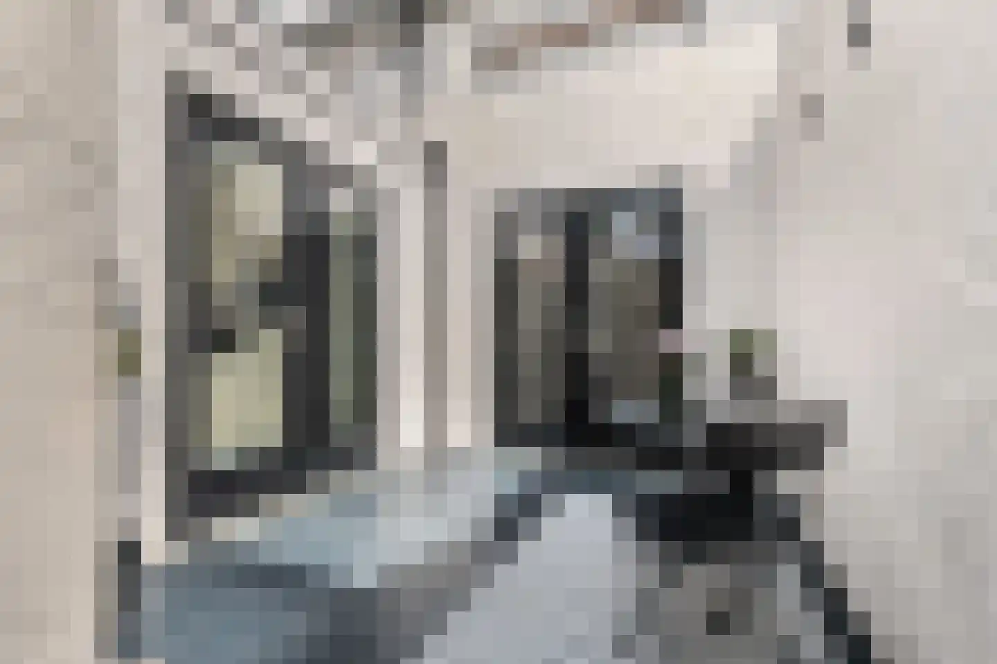 Kapelsteeg 13 Harderwijk thumbnail 8