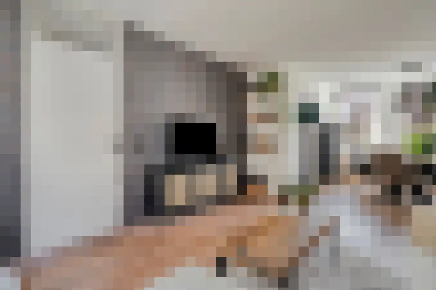Kapelsteeg 3 Harderwijk thumbnail 11