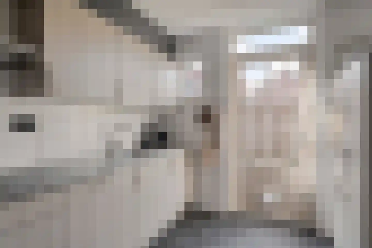 Kapelsteeg 3 Harderwijk thumbnail 16