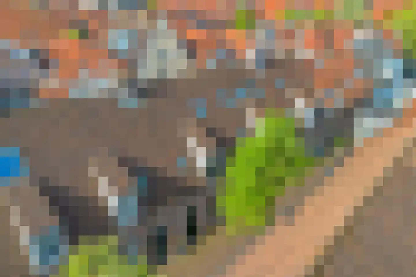 Kapelsteeg 3 Harderwijk thumbnail 40