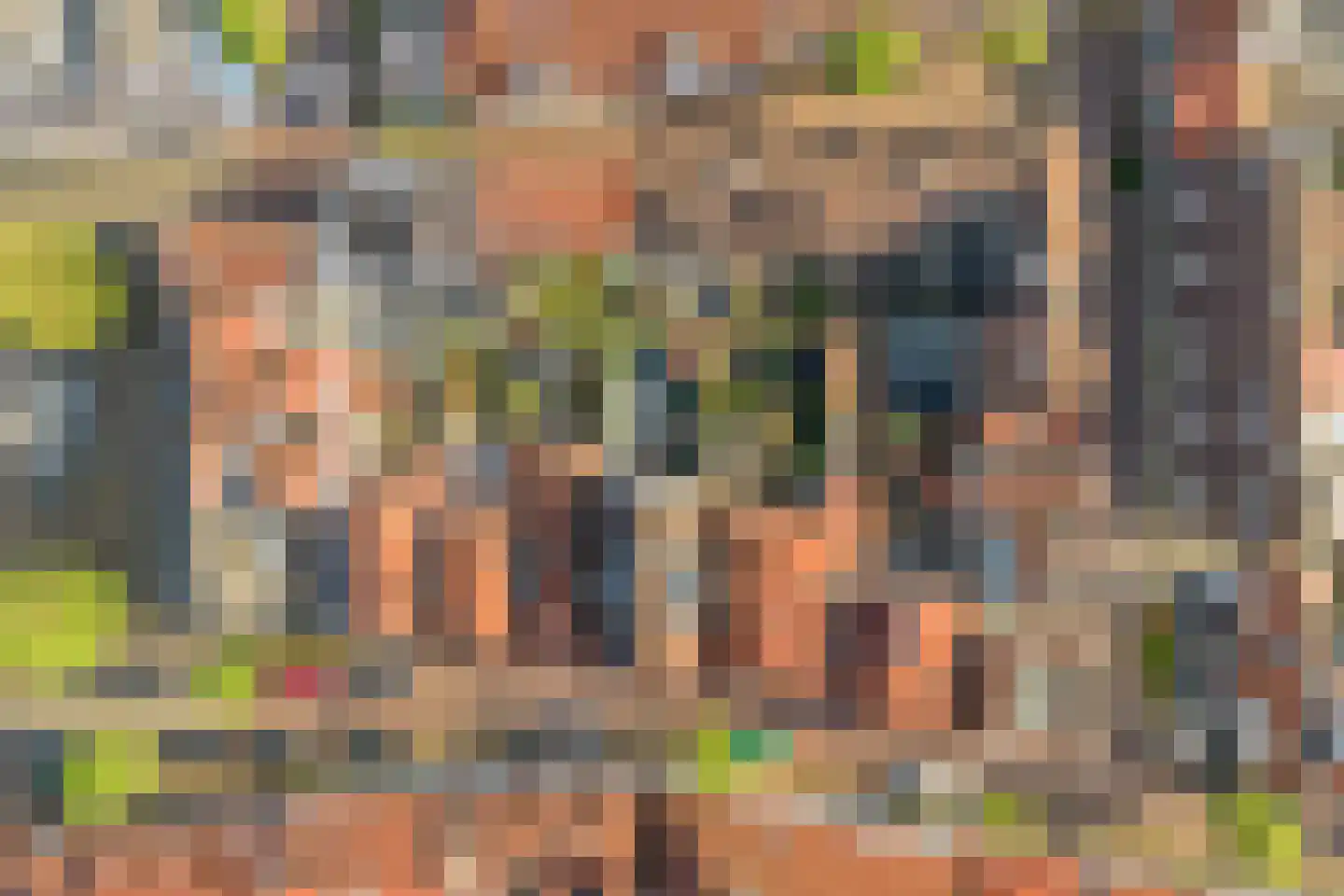 Kapelsteeg 3 Harderwijk thumbnail 41