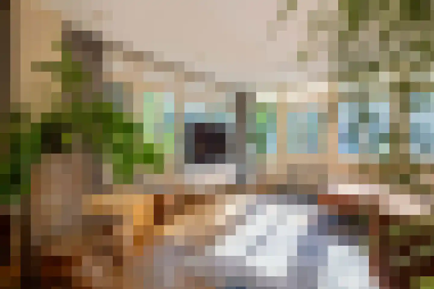 Kapelstraat 1 Nederhemert thumbnail 15