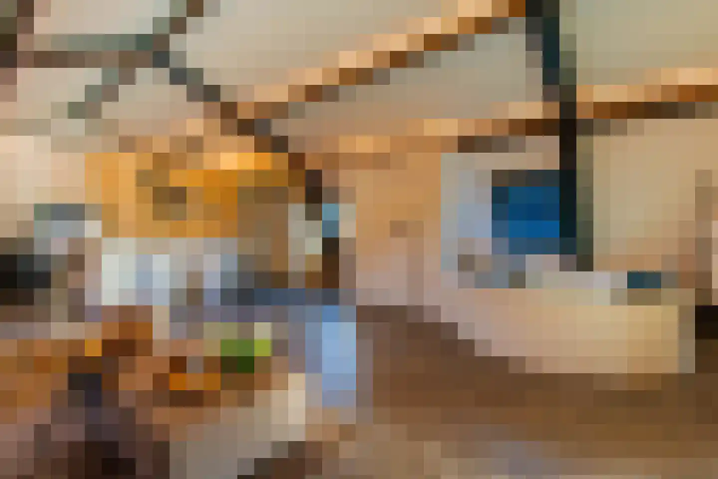 Kapelstraat 1 Nederhemert thumbnail 31