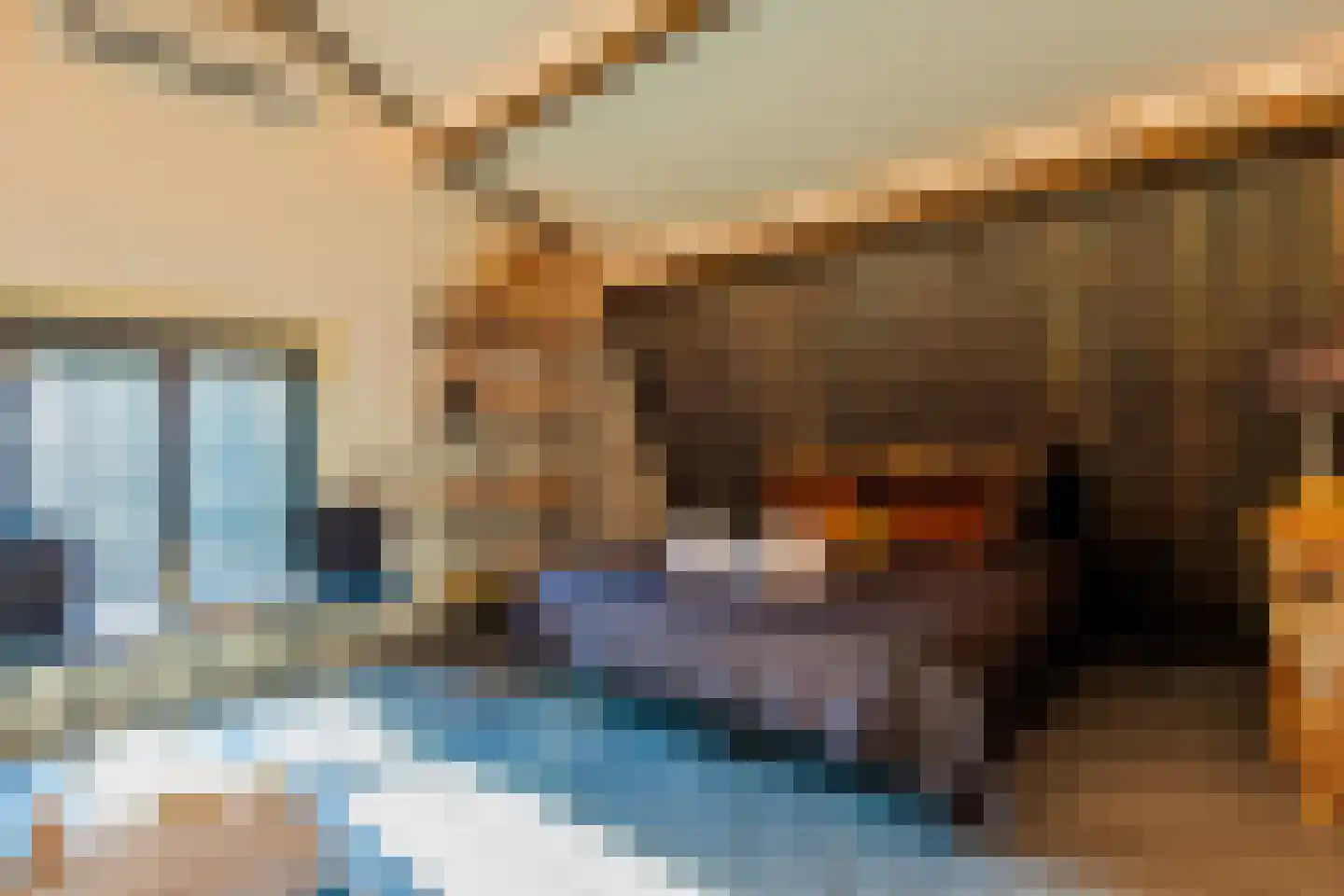 Kapelstraat 1 Nederhemert thumbnail 34