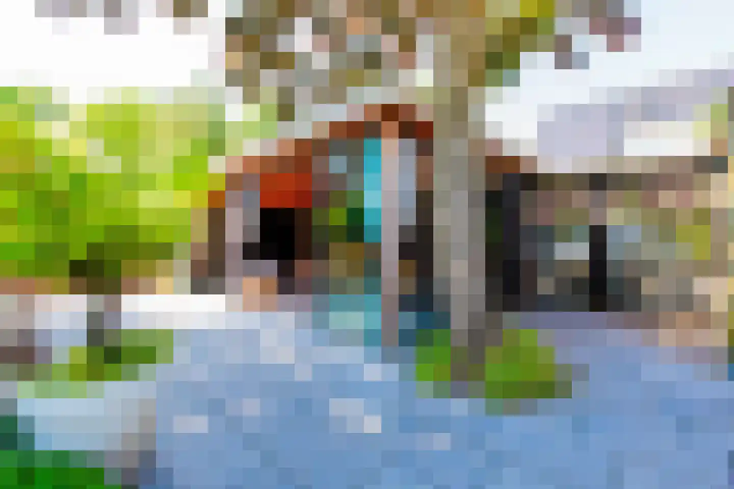 Kapelstraat 1 Nederhemert thumbnail 40