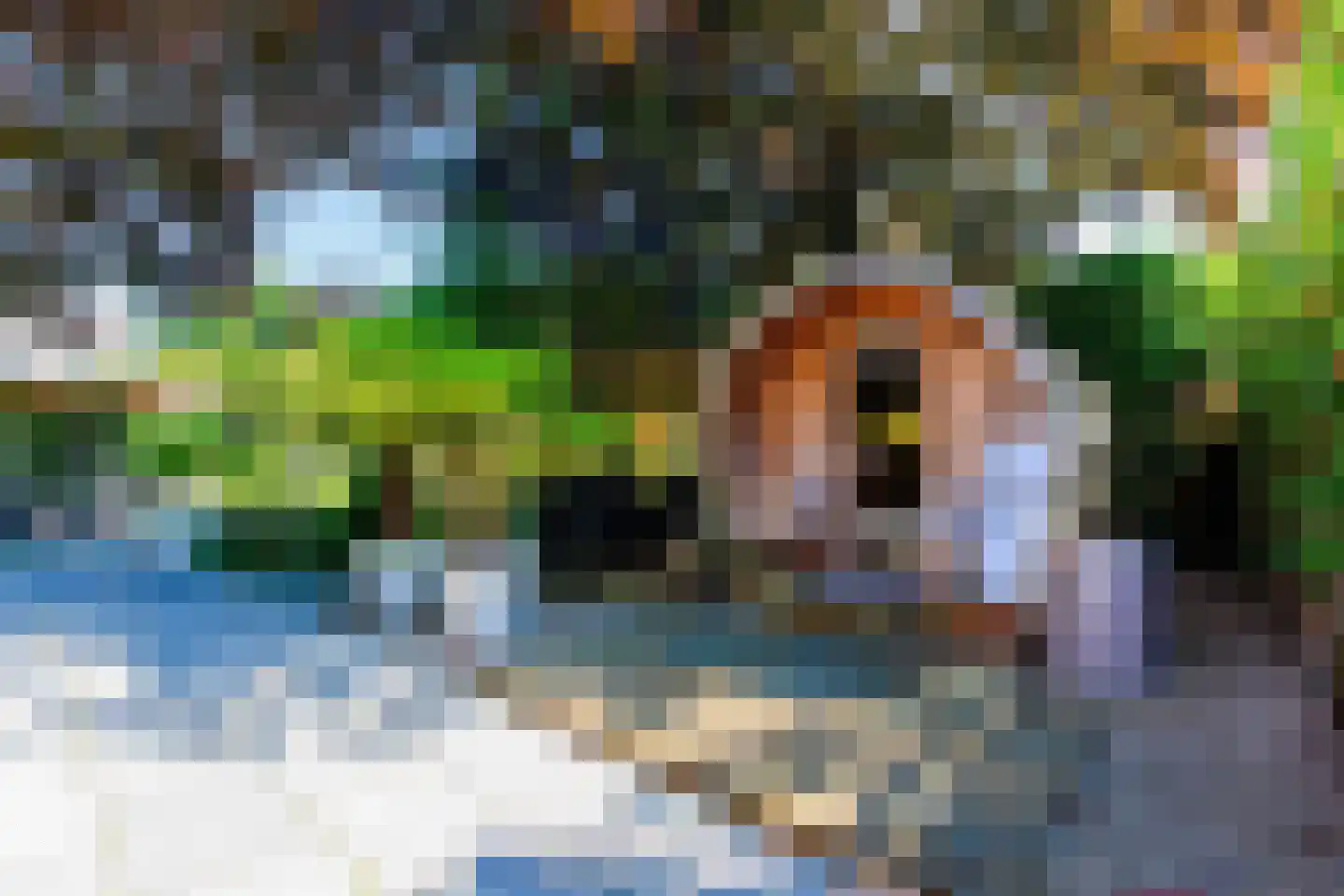 Kapelstraat 1 Nederhemert thumbnail 43