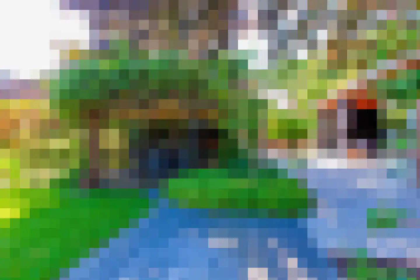 Kapelstraat 1 Nederhemert thumbnail 44