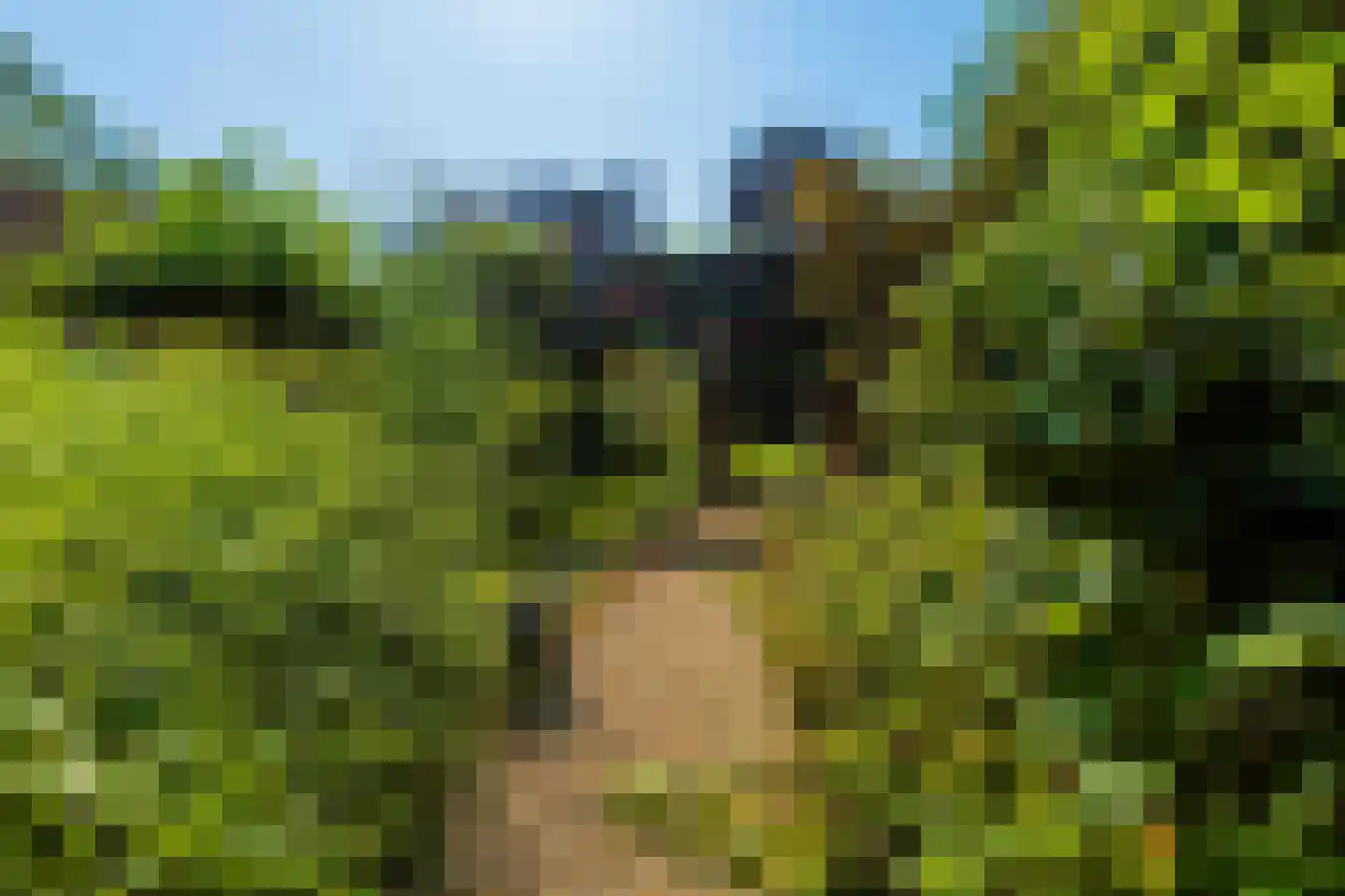 Kapelstraat 1 Nederhemert thumbnail 46