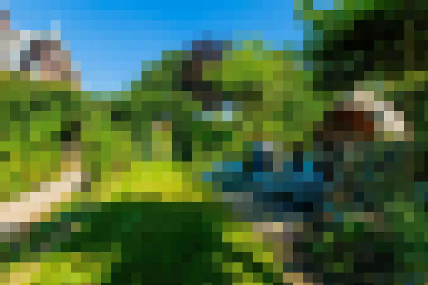 Kapelstraat 1 Nederhemert thumbnail 47