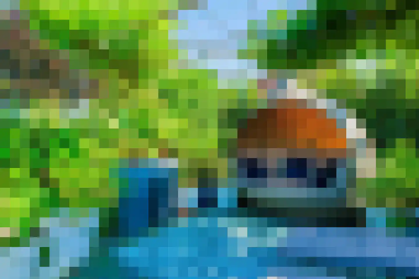 Kapelstraat 1 Nederhemert thumbnail 48