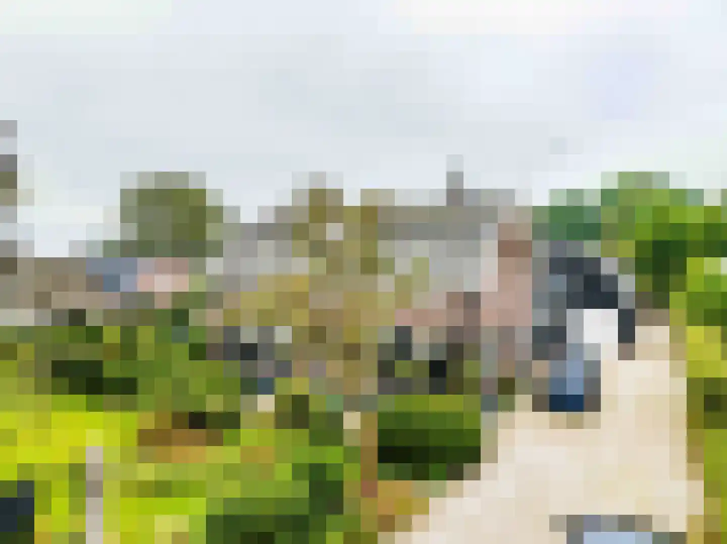 Kapelstraat 1 Nederhemert thumbnail 49