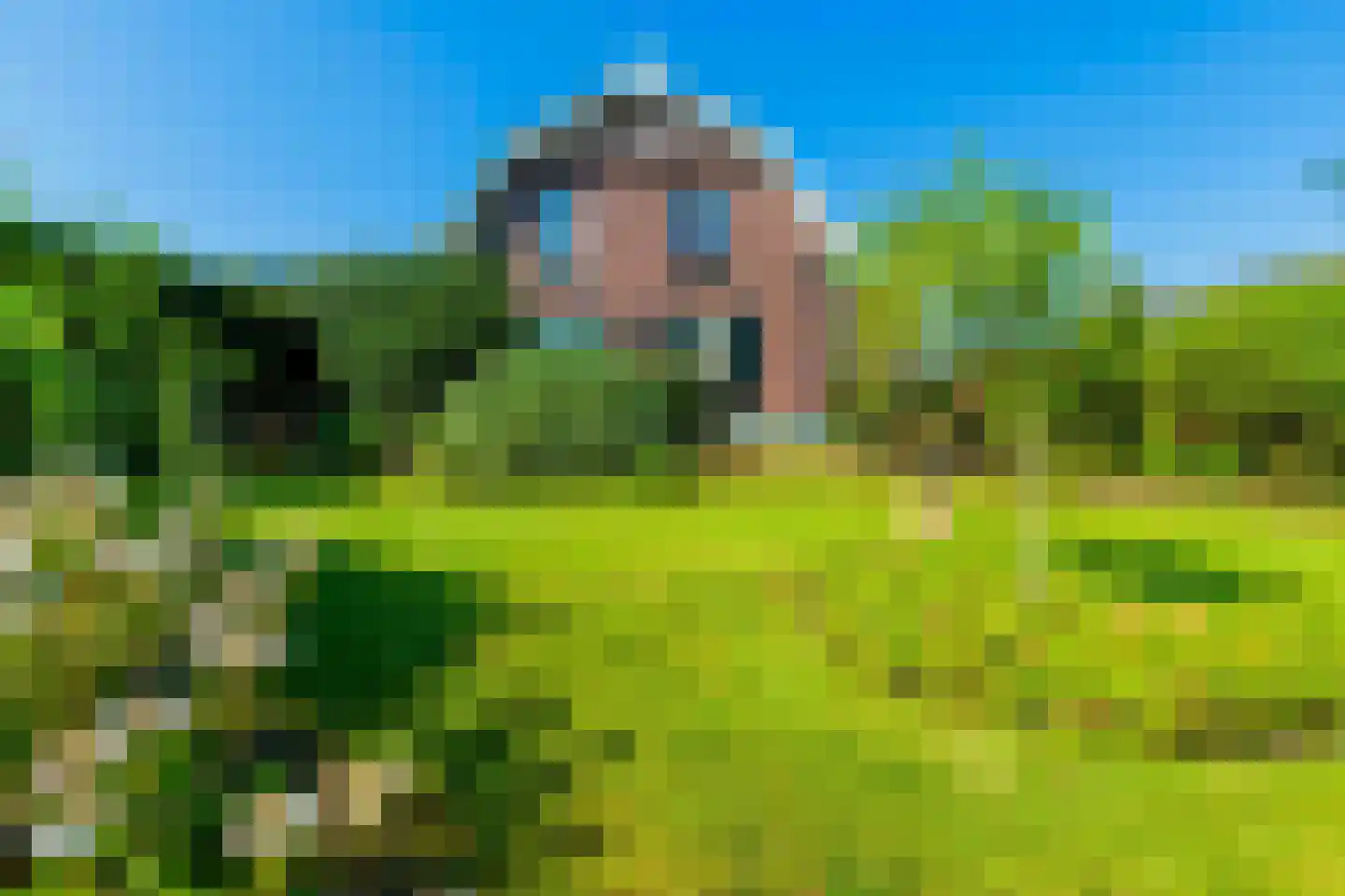 Kapelstraat 1 Nederhemert thumbnail 9