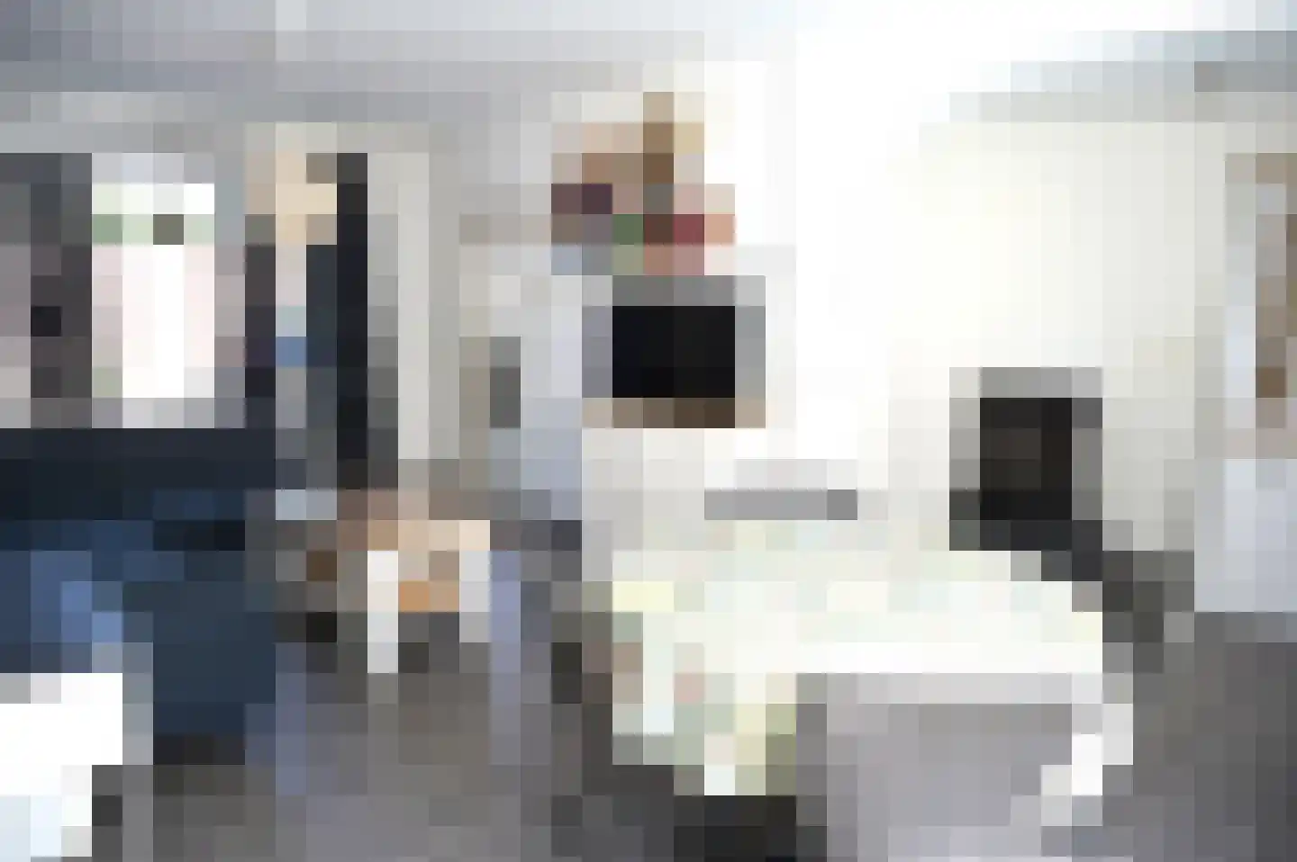 Kapelstraat 1 Tilburg thumbnail 9