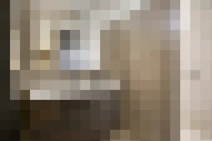 Kapelstraat 10 E Prinsenbeek thumbnail 21