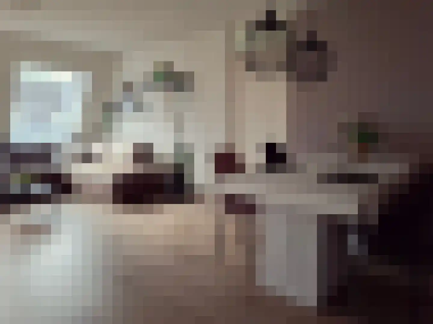 Kapelstraat 10 H Prinsenbeek thumbnail 8