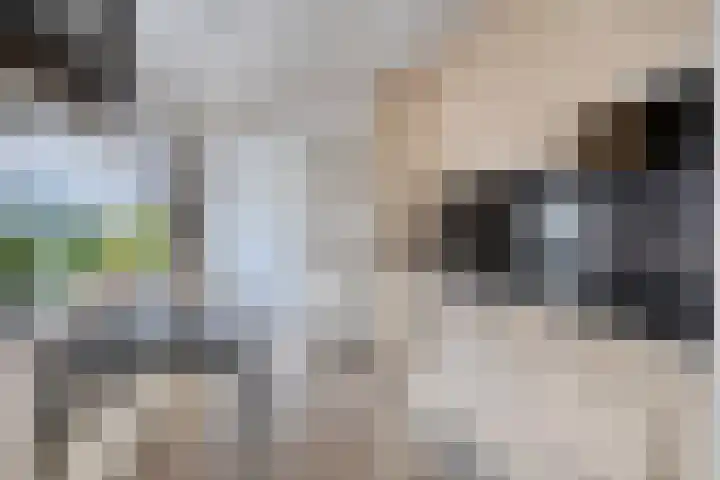 Kapelstraat 101 Beek en Donk thumbnail 10