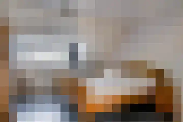 Kapelstraat 101 Beek en Donk thumbnail 15