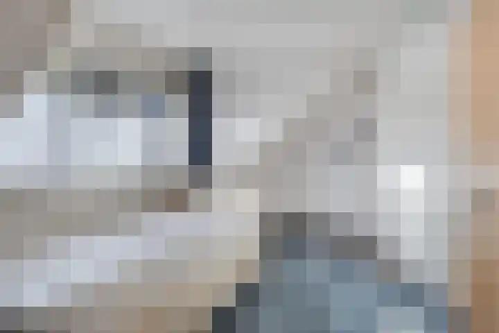 Kapelstraat 101 Beek en Donk thumbnail 19