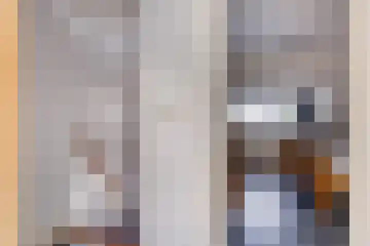 Kapelstraat 101 Beek en Donk thumbnail 20