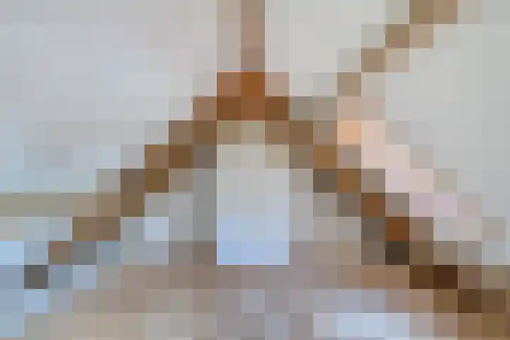 Kapelstraat 101 Beek en Donk thumbnail 21