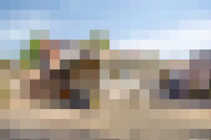 Kapelstraat 101 Beek en Donk thumbnail 24