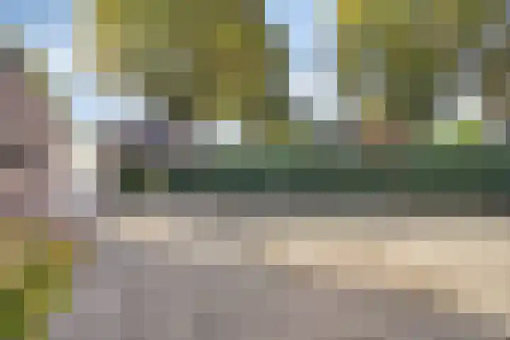Kapelstraat 101 Beek en Donk thumbnail 26