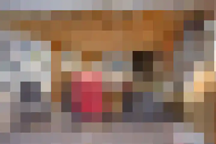 Kapelstraat 101 Beek en Donk thumbnail 27
