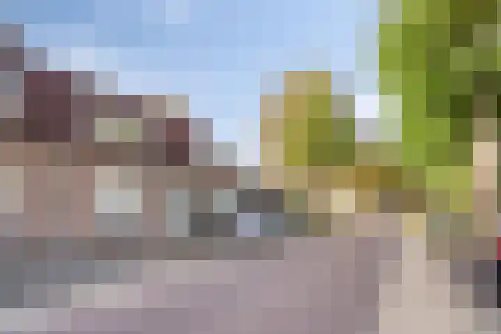 Kapelstraat 101 Beek en Donk thumbnail 30