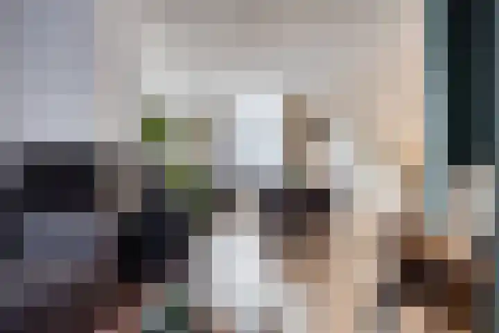 Kapelstraat 101 Beek en Donk thumbnail 5
