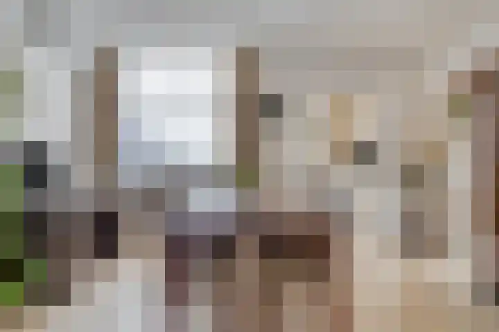 Kapelstraat 101 Beek en Donk thumbnail 6