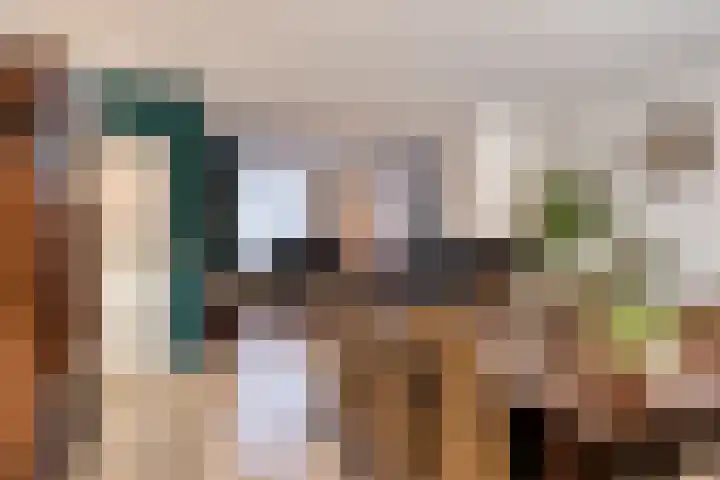 Kapelstraat 101 Beek en Donk thumbnail 8