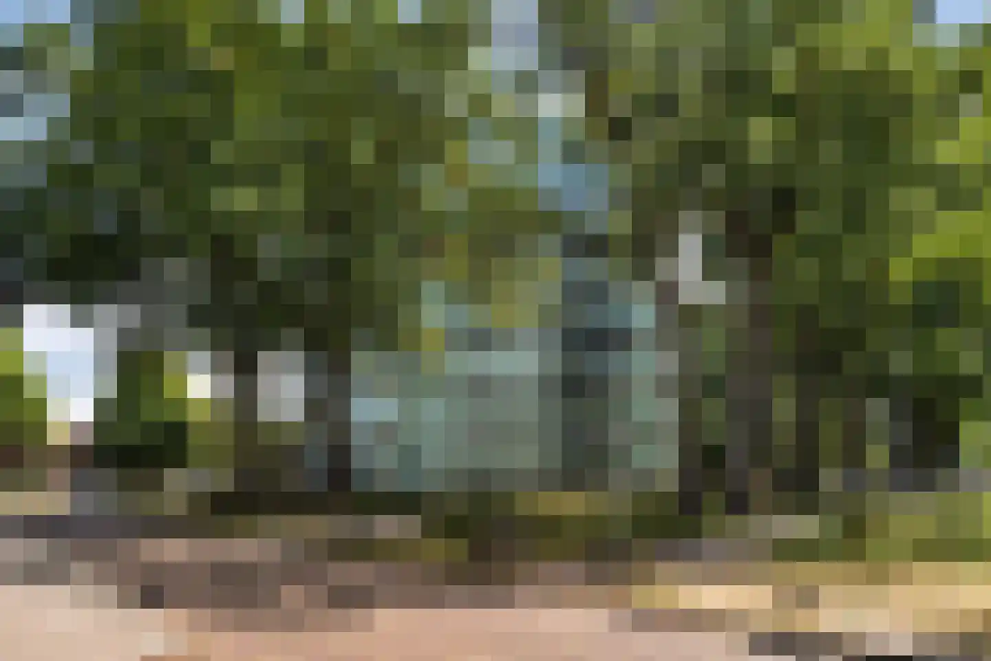 Kapelstraat 106 Emmen thumbnail 34