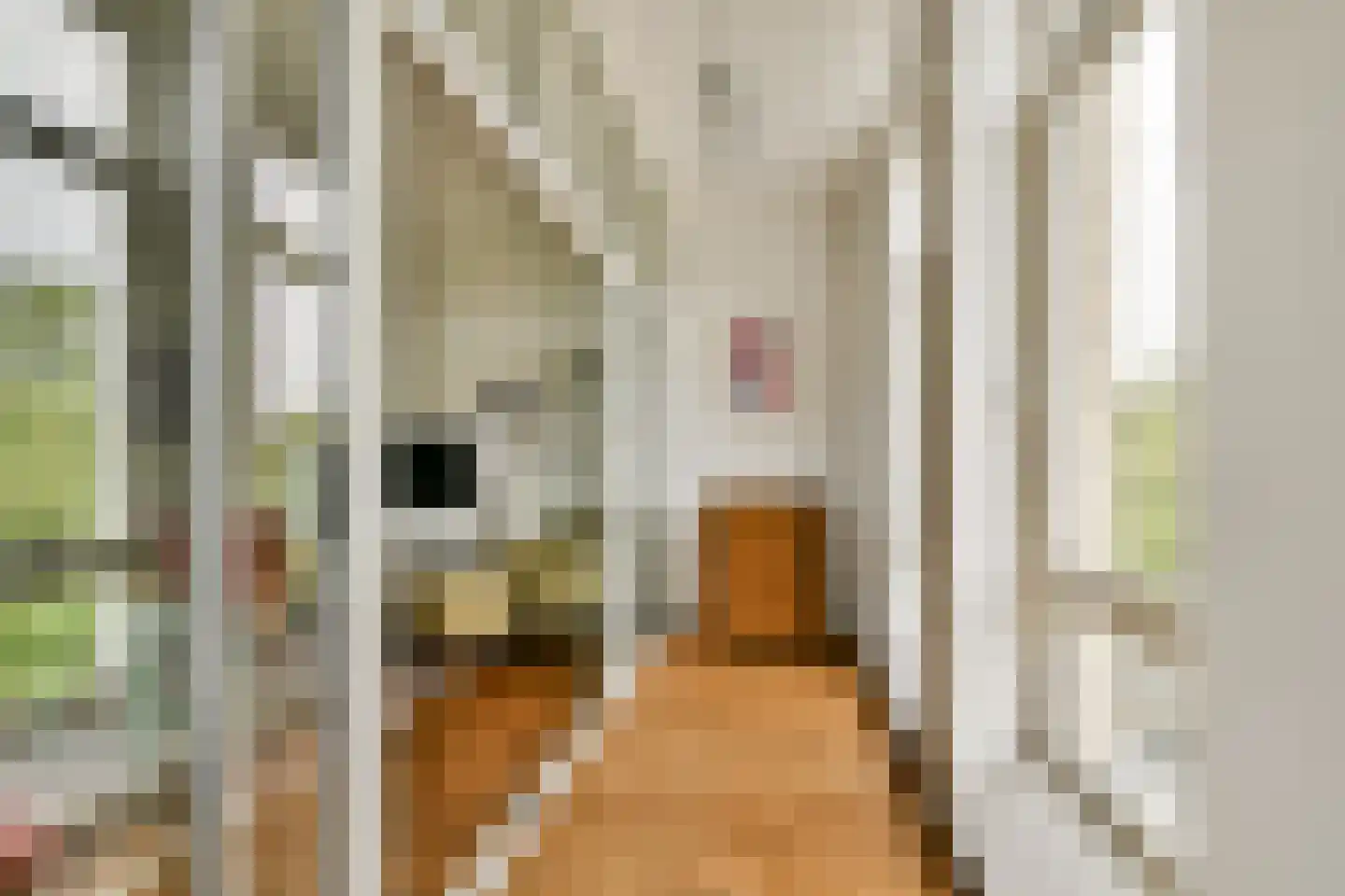 Kapelstraat 109 Rotterdam thumbnail 14
